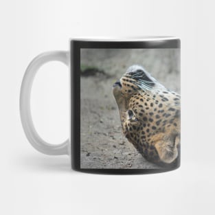 Have You Ever Had One Of Those Days, Where You Just Can't Get Out Of Bed? Mug